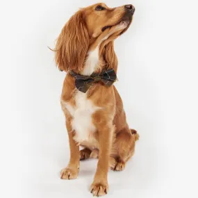 Barbour Tartan Dog Bow Tie in Classic Tartan