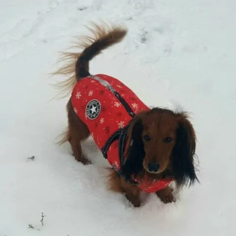 Fashion Stars Dachshund Jacket