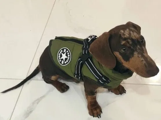 Fashion Stars Dachshund Jacket