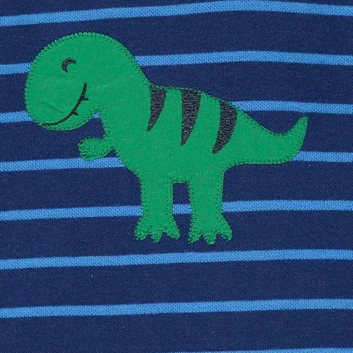 Long sleeve top- dino appliqué