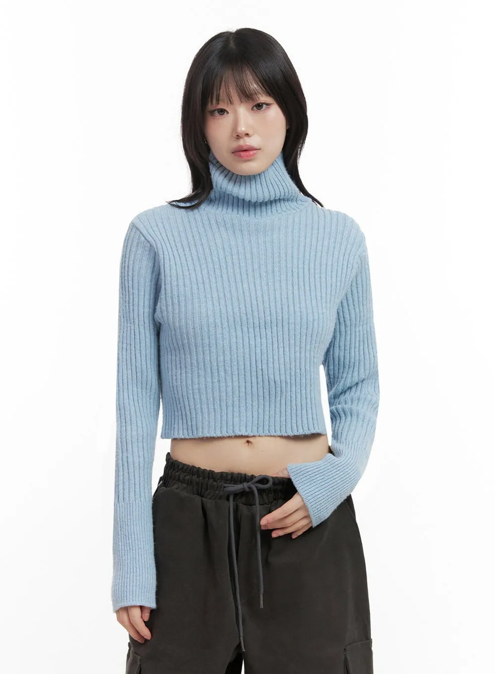 Ribbed Knit Cropped Sweater IN427