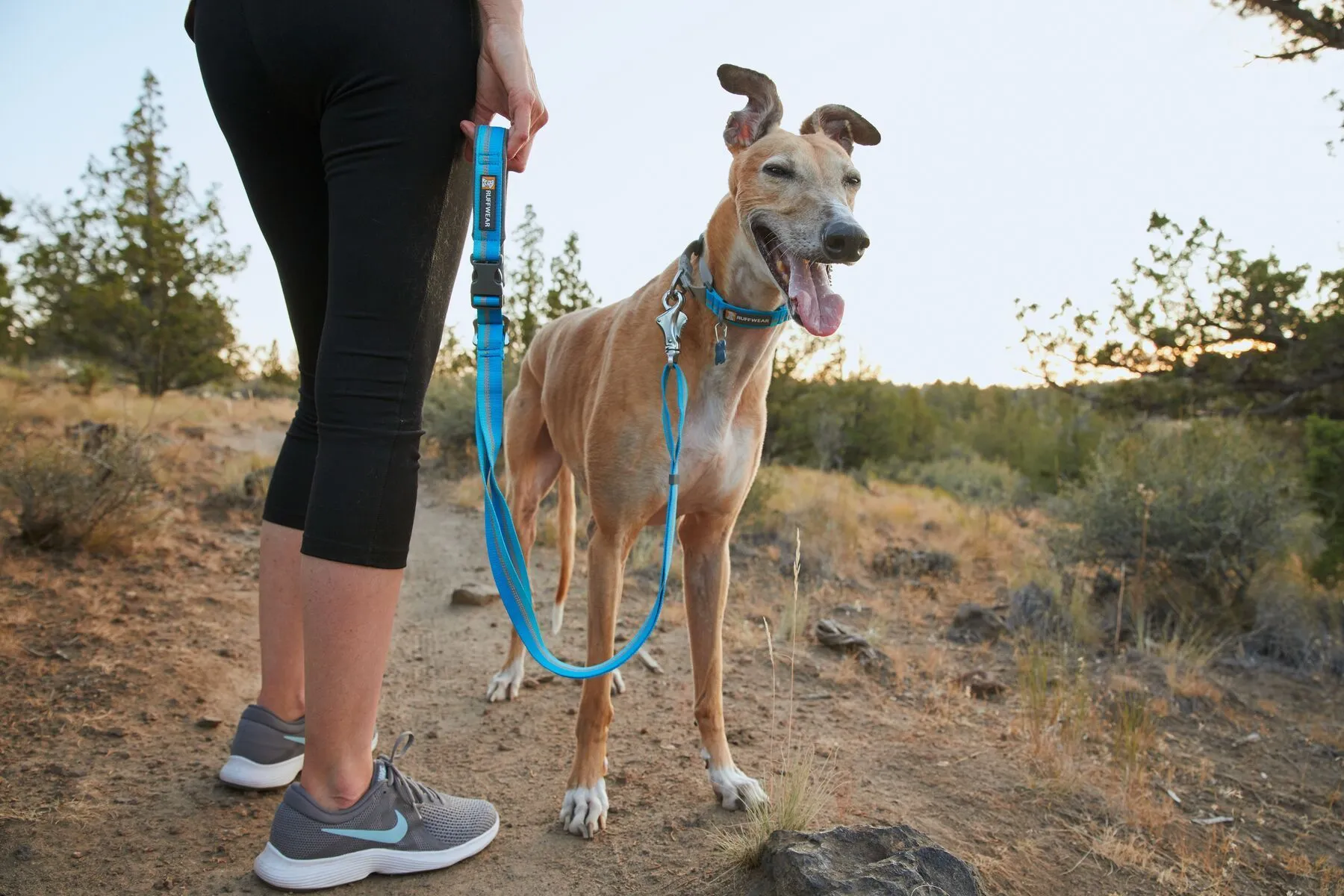 Ruffwear Web Reaction™ Reflective Buckled Martingale Dog Collar (Seafoam)